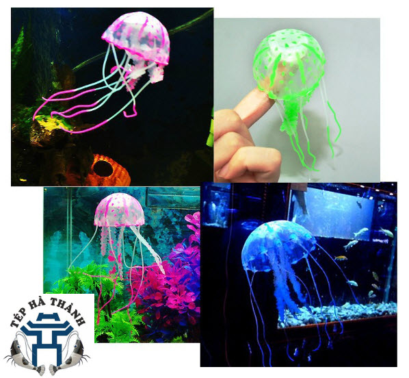 [Hoàn Tiền 10%] Sứa Biển Phát Sáng Trang Trí Bể Cá Cảnh, Bể Thủy Sinh