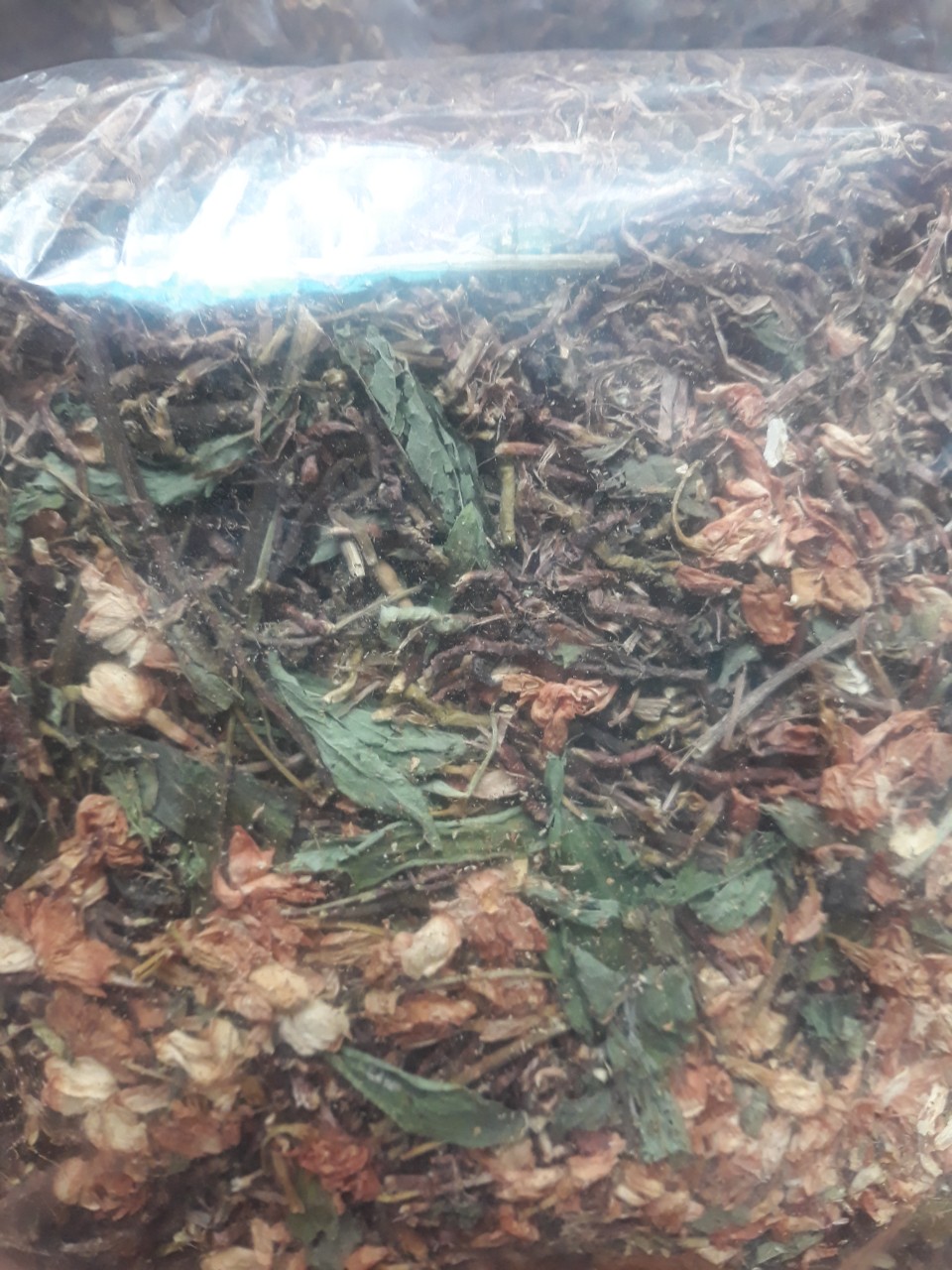 Trà sơn mật hồng sâm