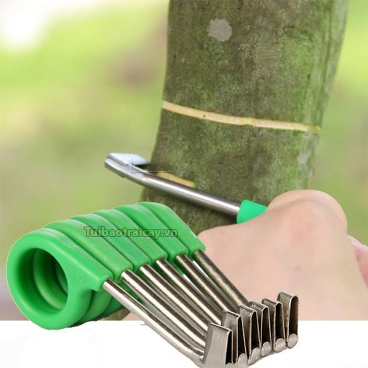 Dụng cụ khoanh vỏ cây - D117