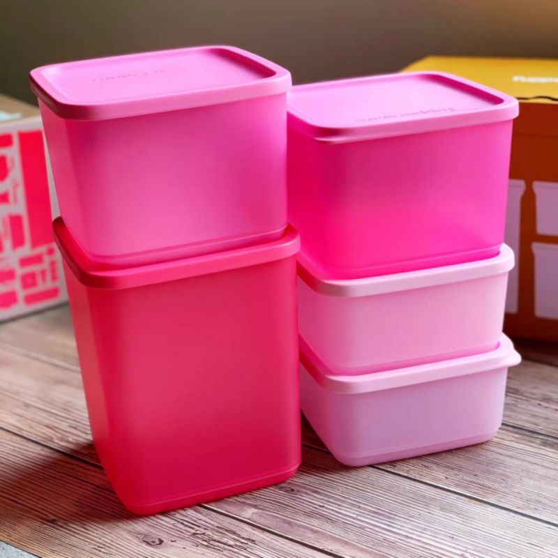 Set 5 hộp ngăn mát Tup ♥️ bộ trữ mát ♥️ tupperware