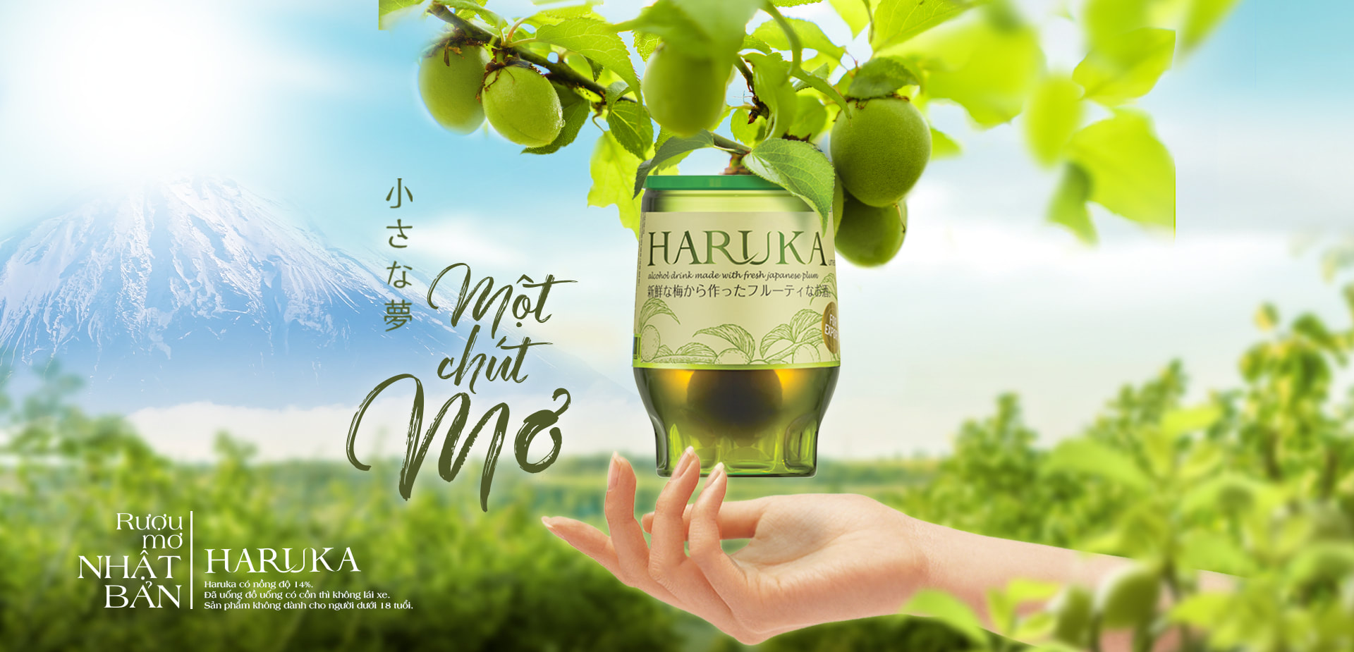 combo 6 Nước Mơ Nhật Bản Haruka 180 ml