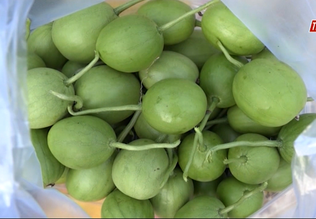 [HCM]Hạt Giống Dưa Hấu Nụ (Dưa Hồng Dưa Canh) - Gói 2gr
