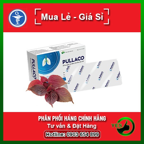 Pullaco - hỗ trợ bổ phế giảm ho long đờm