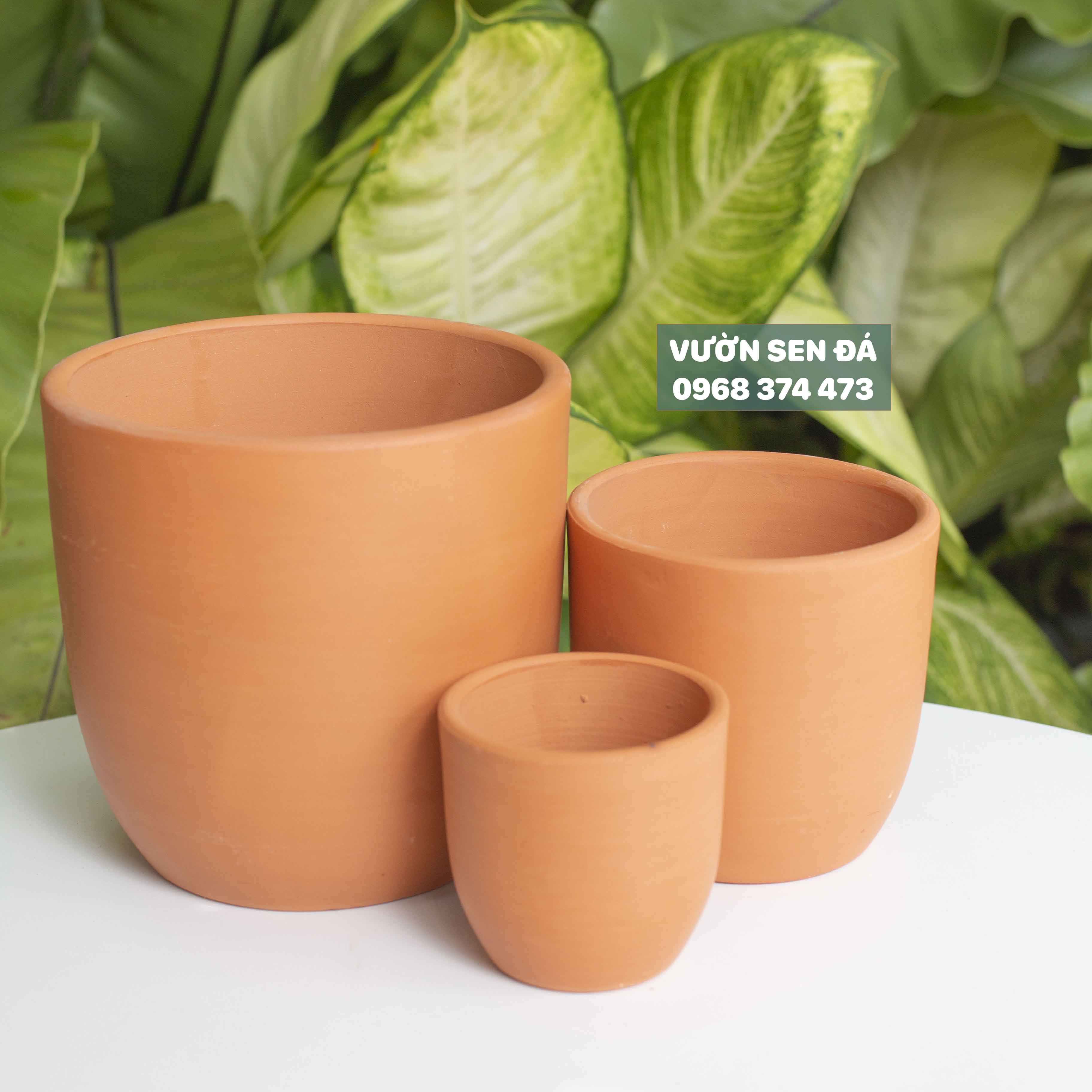 Chậu đất nung trụ bo (đất nung đỏ)