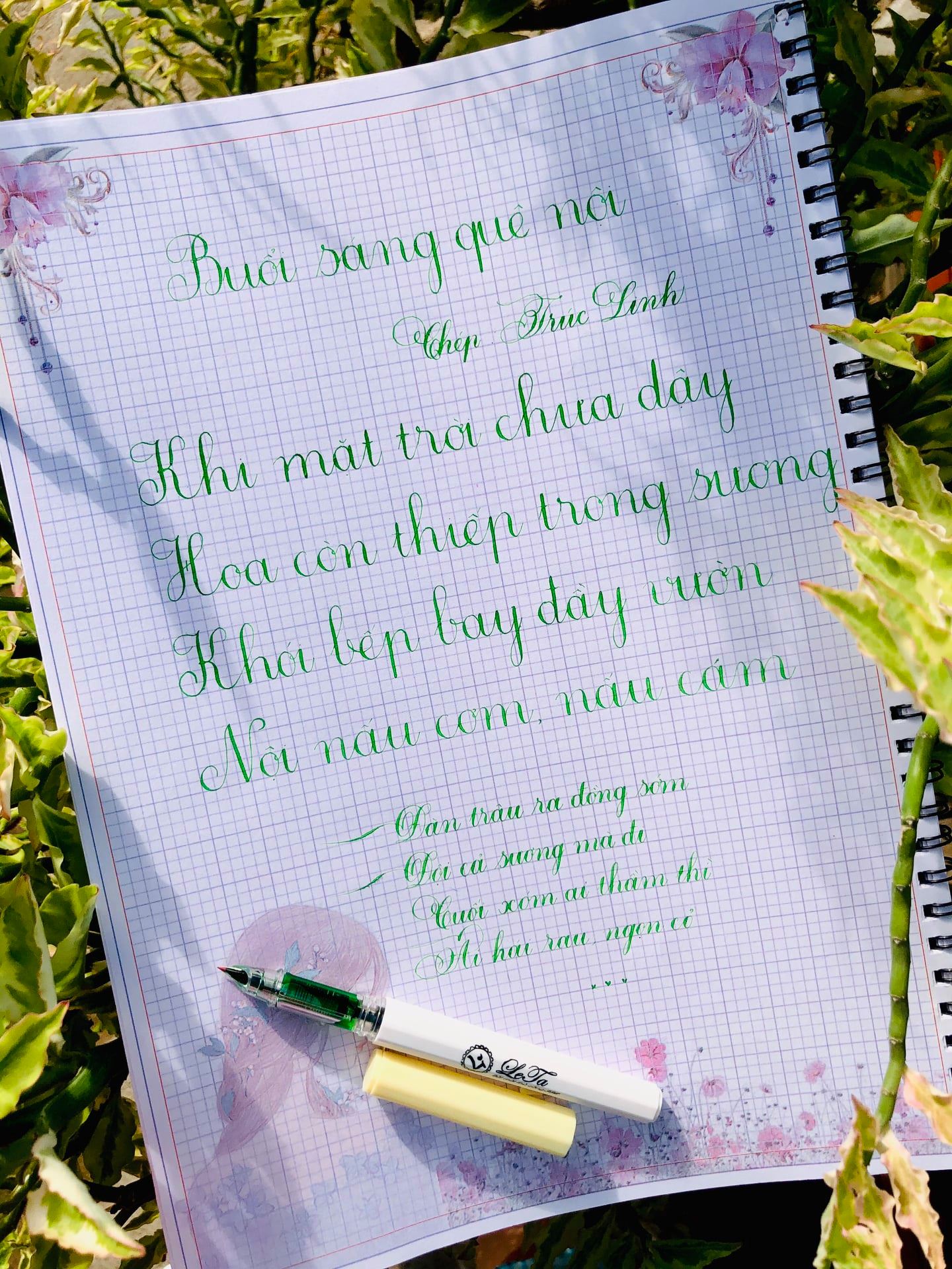 Bút Leta 386 (ngòi lá tre thanh đậm)