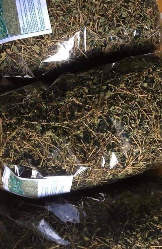 1kg cà gai leo khô Nghệ An
