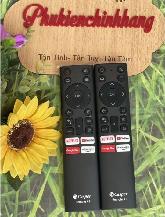 HÀNG ZIN] REMOTE TIVI CASPER GIỌNG NÓI (Bảo hành 03 tháng)