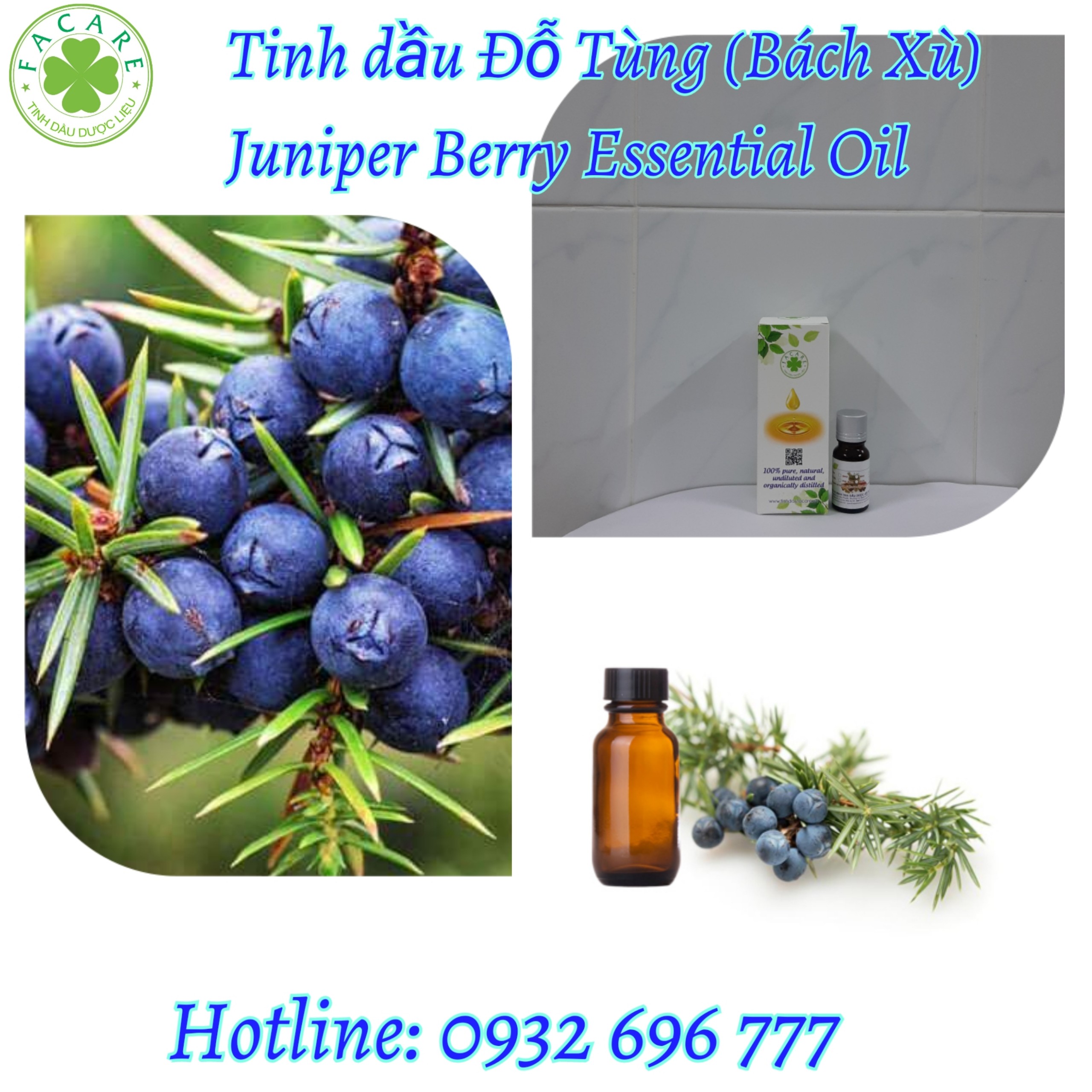 Tinh Dầu Đỗ Tùng (Bách Xù) - Juniper Berry essential oil - 10ml