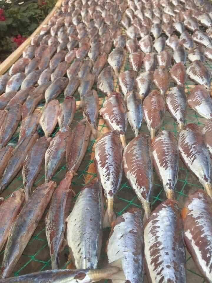 [CHỈ GIAO HÀ NỘI] Cá nục một nắng 1KG ( giao HN sau 2h)