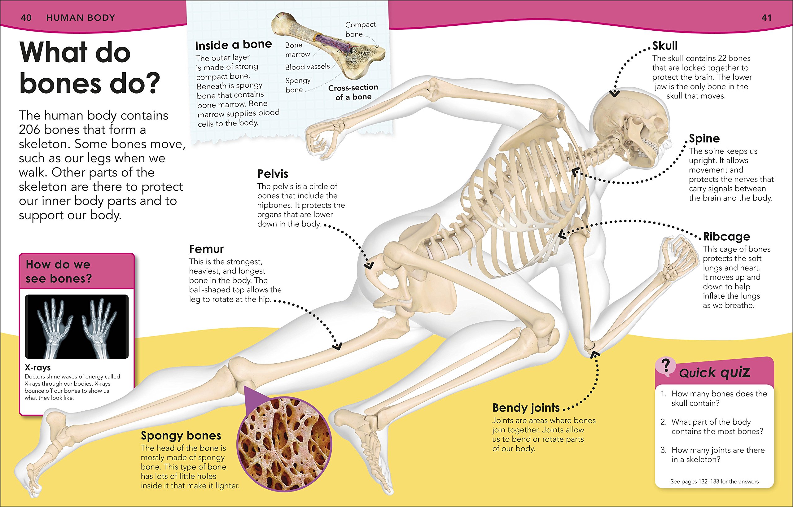 Sách Do You Know About Science - Á Châu Books