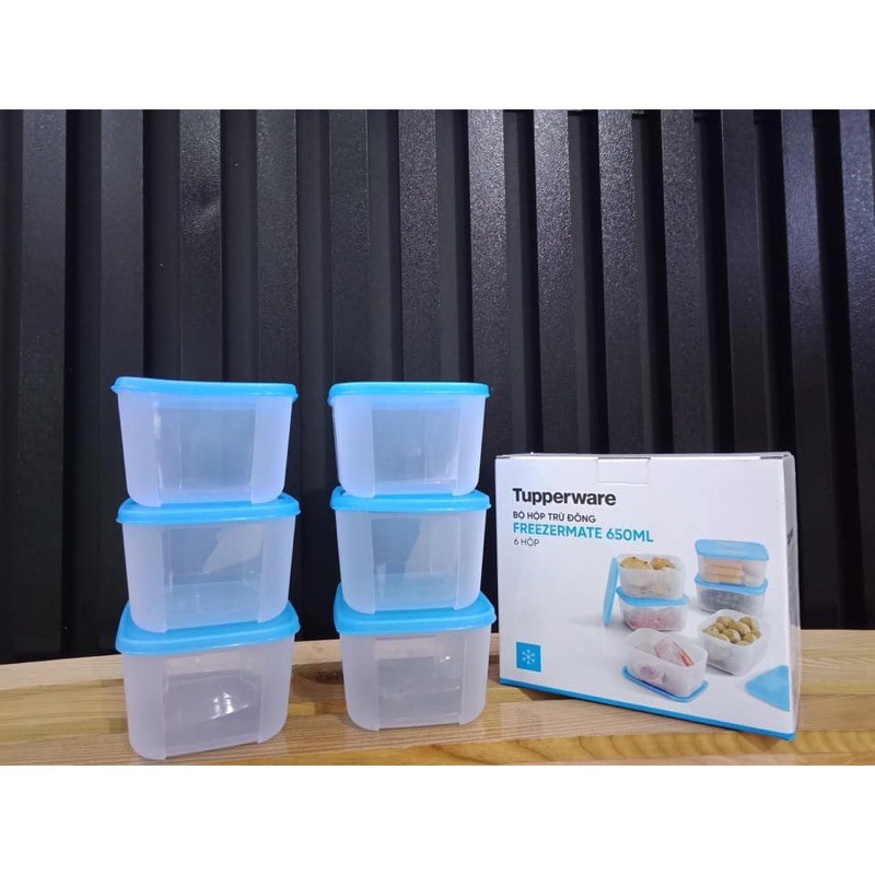 Hộp trữ đông Freezermate 650ml Tupperware ( bán lẻ )