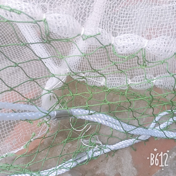 Lưới Vét Cá Dài 10m,15m,20m Cao 2m
