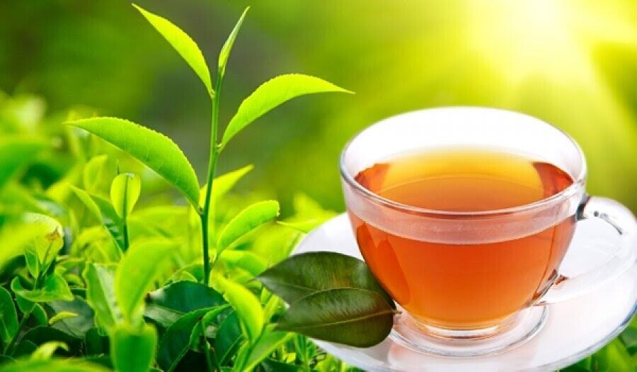 Trà DILMAH Trà Đen 100 (200G) - DILMAH PREMIUM CEYLON BLACK TEA 100