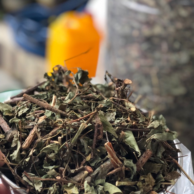 Chè dây rừng Kon Tum khối lượng 1kg hổ trợ đau dạ dày hiệu quả - Lazada |  Lazada.vn