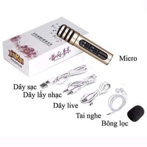 [HCM]Micro - míc hát C9