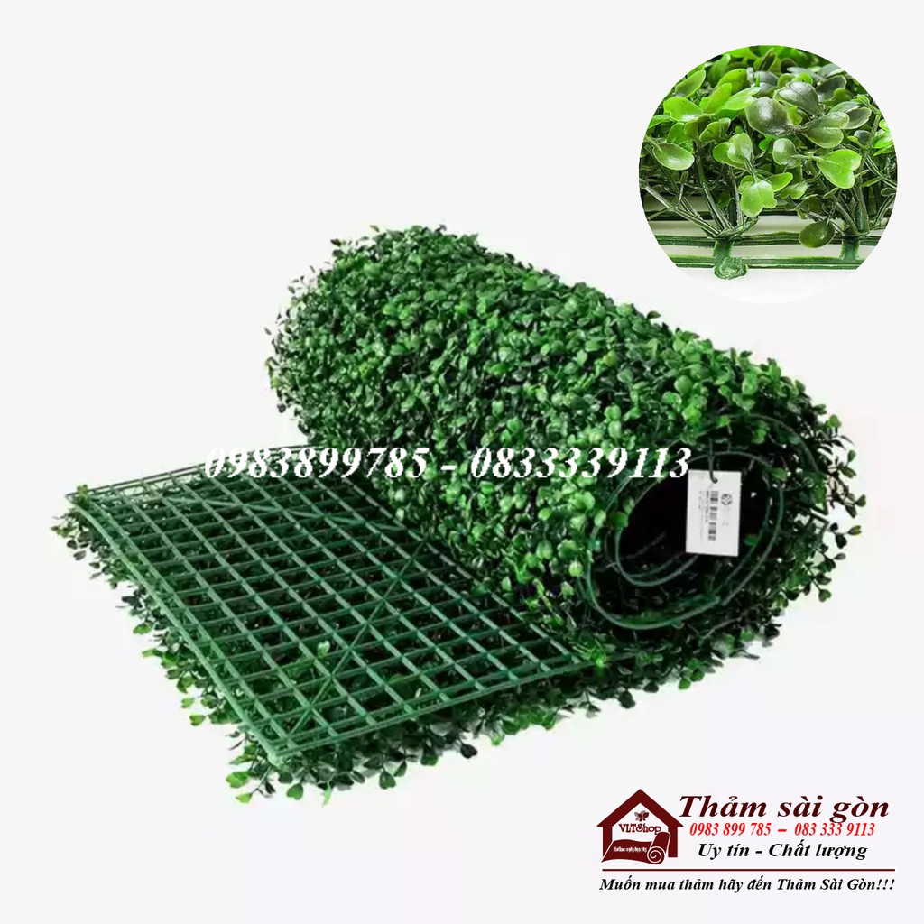 CỎ CẢI XOONG TREO TƯỜNG