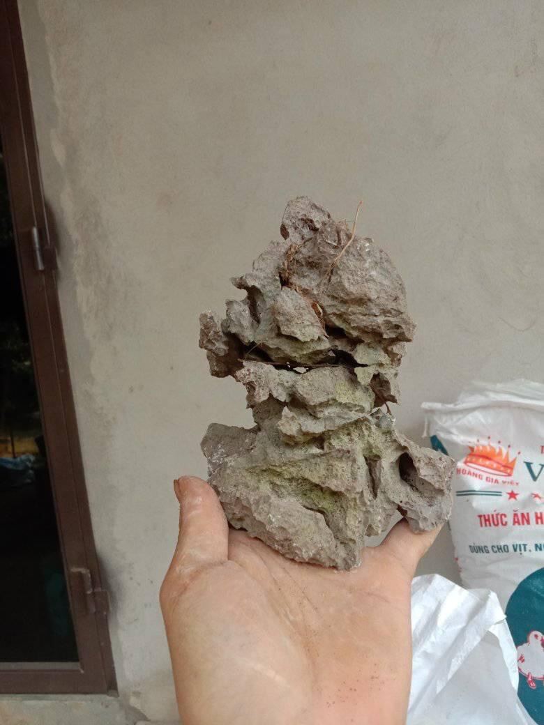 Đá ghép cây bonsai mini. trang trí bể cá cảnh