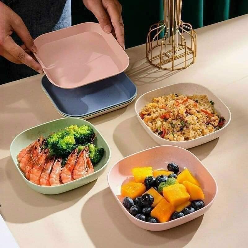 SET 8 ĐĨA NHỰA LÚA MẠCH MÀU PASTEL SIÊU XINH