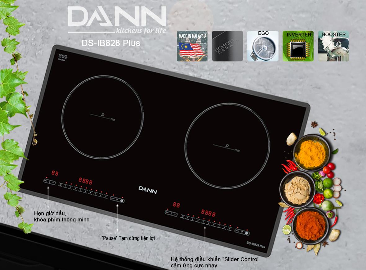 Bếp từ Dann DS-IB828 Plus