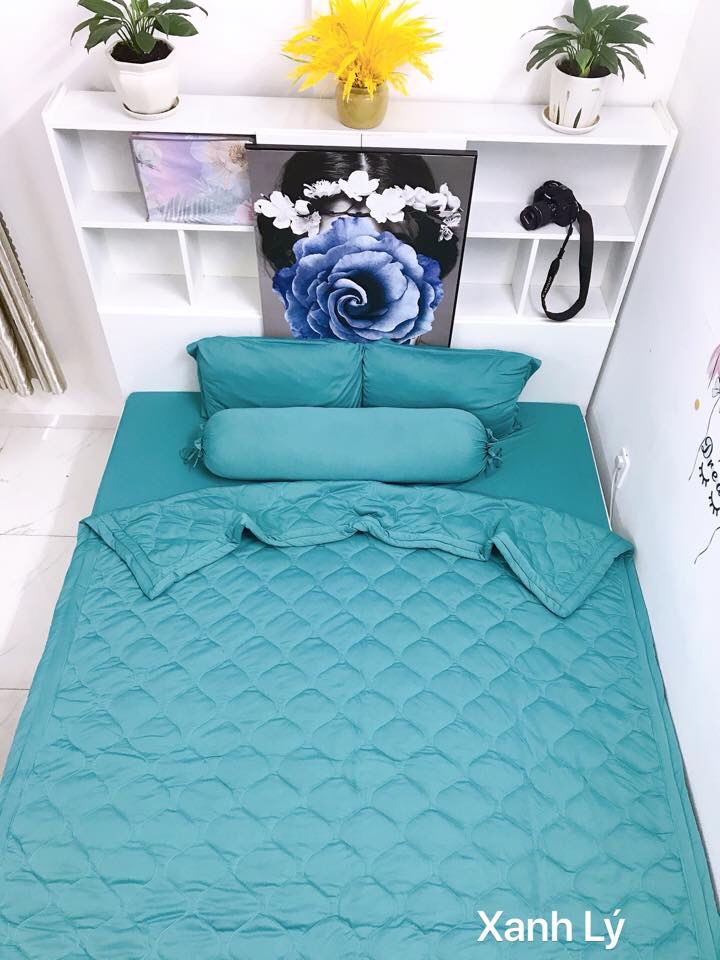 Drap lẻ thun lạnh hàn quốc lan phạm bedding - màu xanh lý