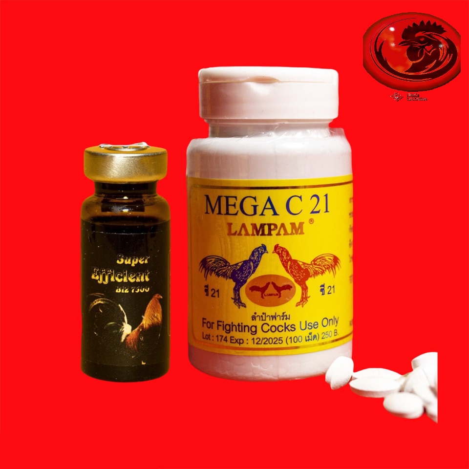 COMBO B12 7500 + Mega c21 Tăng nước máu, tăng bo, không nóng gà 10 ml