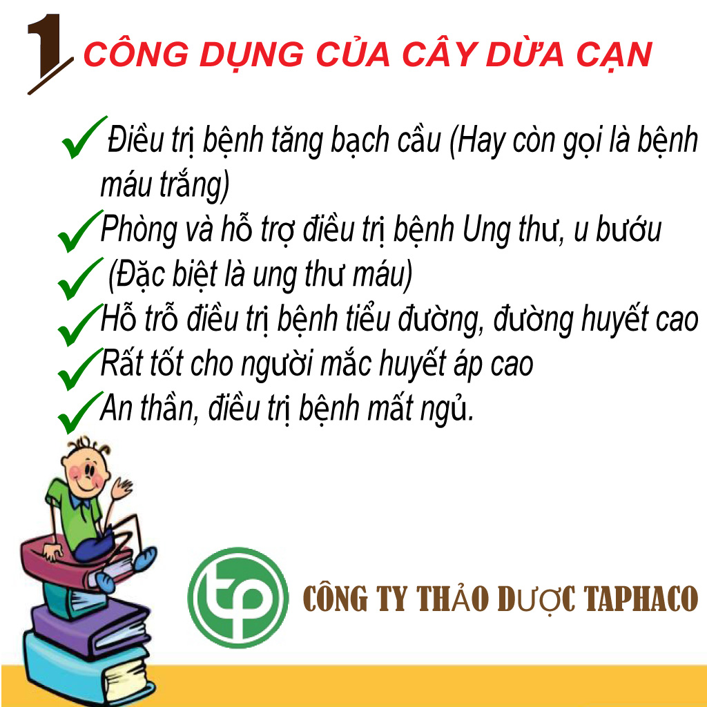 [Hàng Công Ty Mới Về] Dừa cạn sấy khô túi lớn loại 1kg chuyên dùng để sắc nước và pha trà - H.ỗ tr.ợ t.hanh nh.iệt và gi.ải đ.ộc