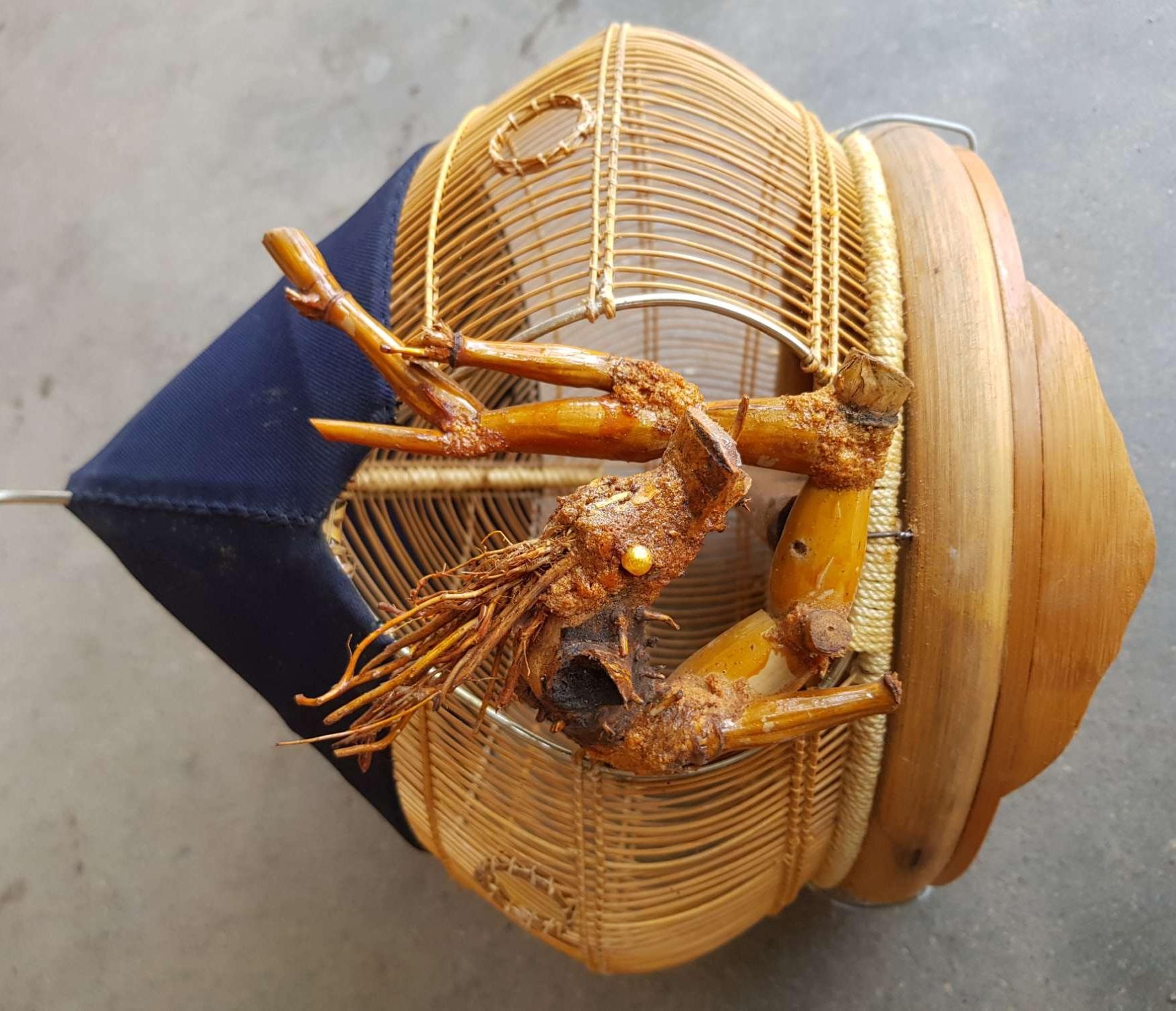 Lồng nuôi cu gáy hàng đẹp