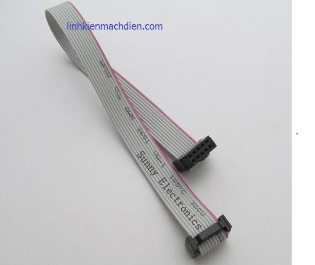 [HCM]Dây Cable FC10P 20cm
