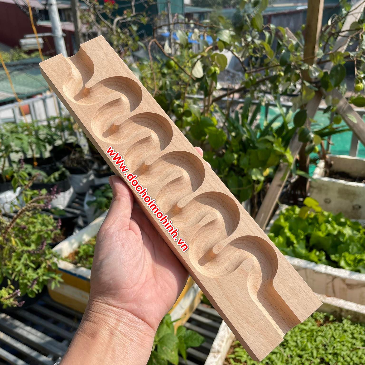 Đường đua bi - đường chạy quanh co - marble run race - gỗ dẻ gai từ bắc mỹ