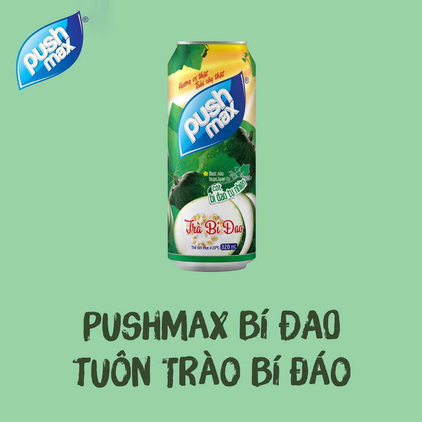 Thùng 24 Lon Nước Trái Cây Trà Bí Đao Pushmax (330ml x 24 lon)