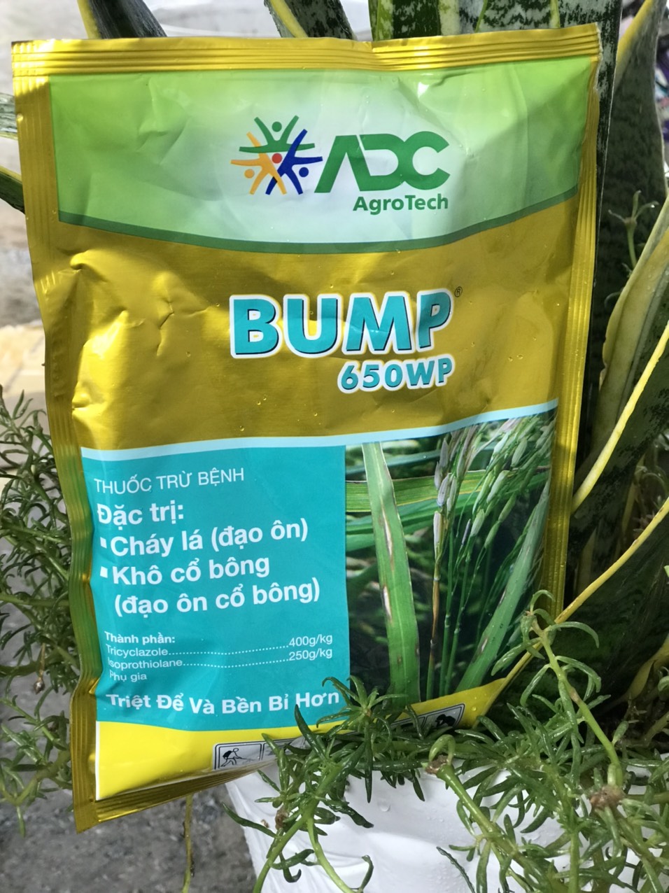 Bump 650WP đặc trừ đạo ôn đạo ôn cổ bông