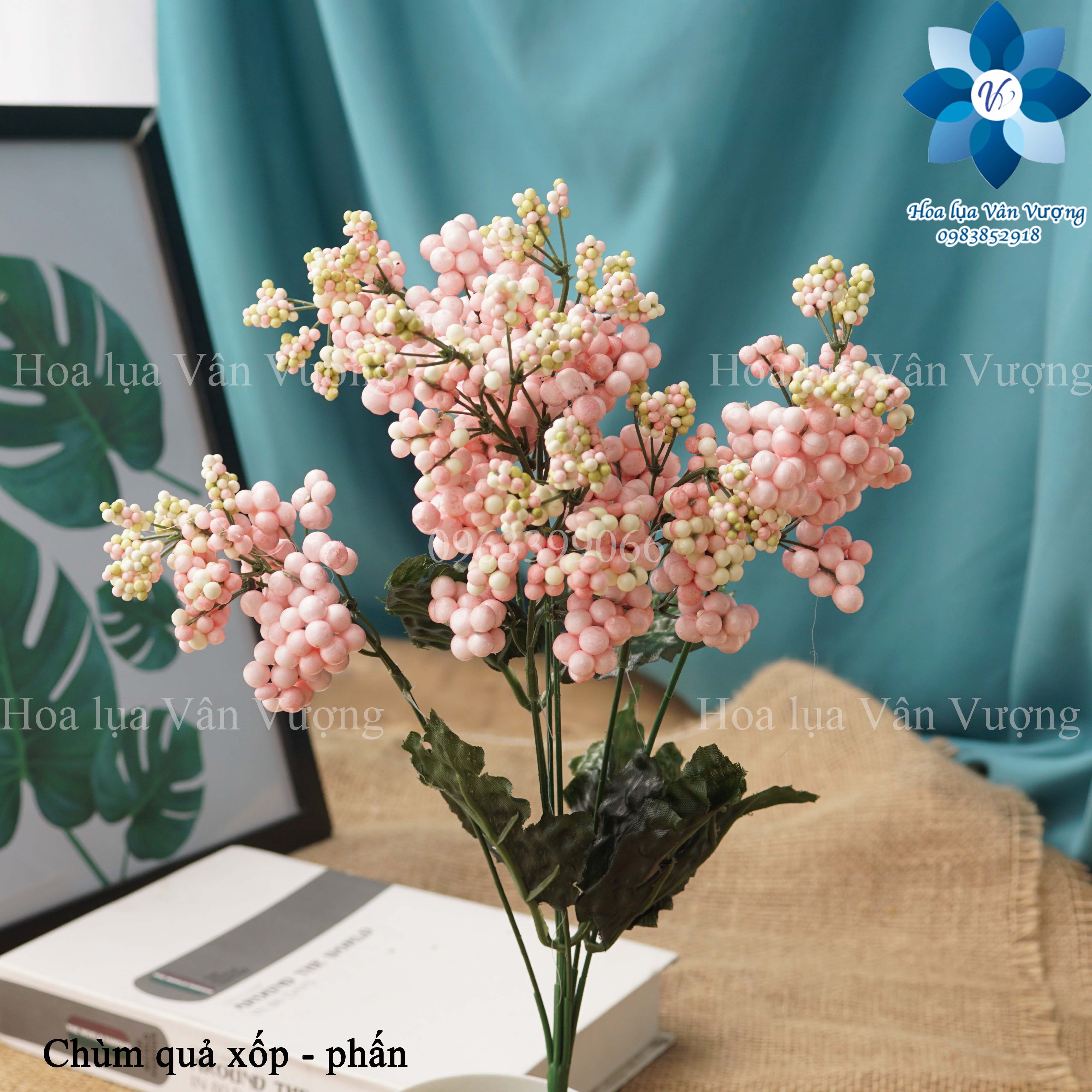 Hoa Giả, Chùm Quả Xốp Điểm