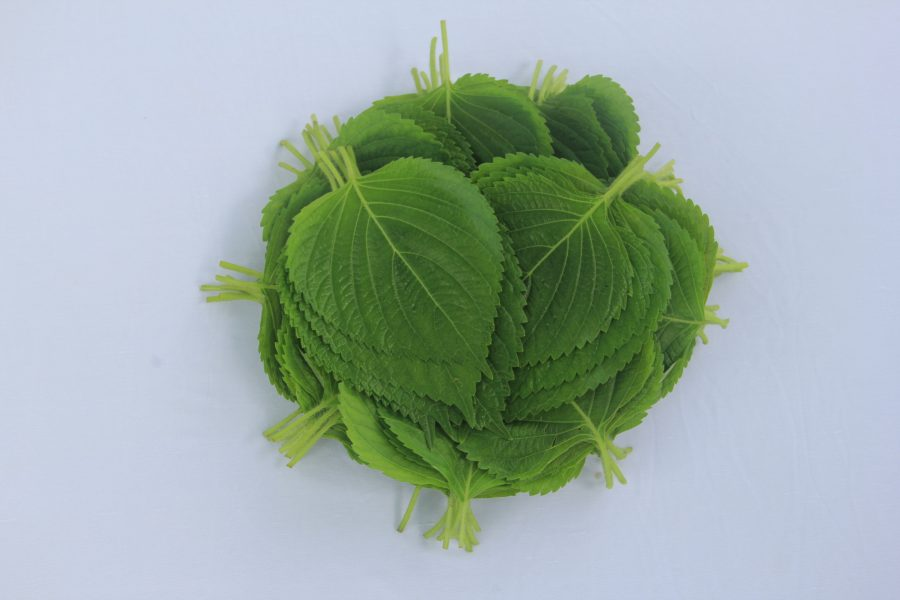 HẠT RAU THƠM MÈ LÁ MÈ HÀN QUỐC - GÓI 1 GRAM
