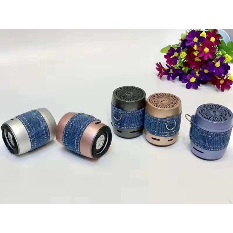 Loa Bluetooth EWA - A113