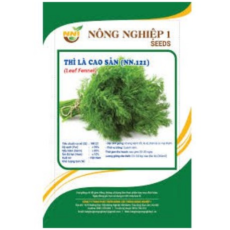 Hạt giống thì là cao sản