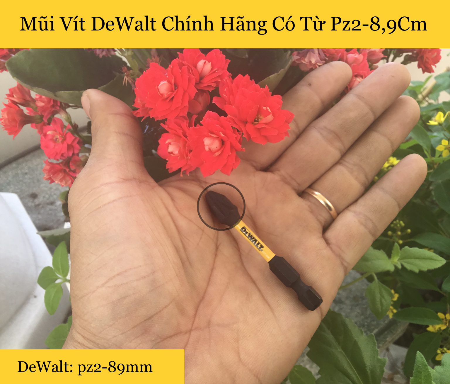 [HCM]Mũi Vít DeWalt Chính Hãng pz2-58mm