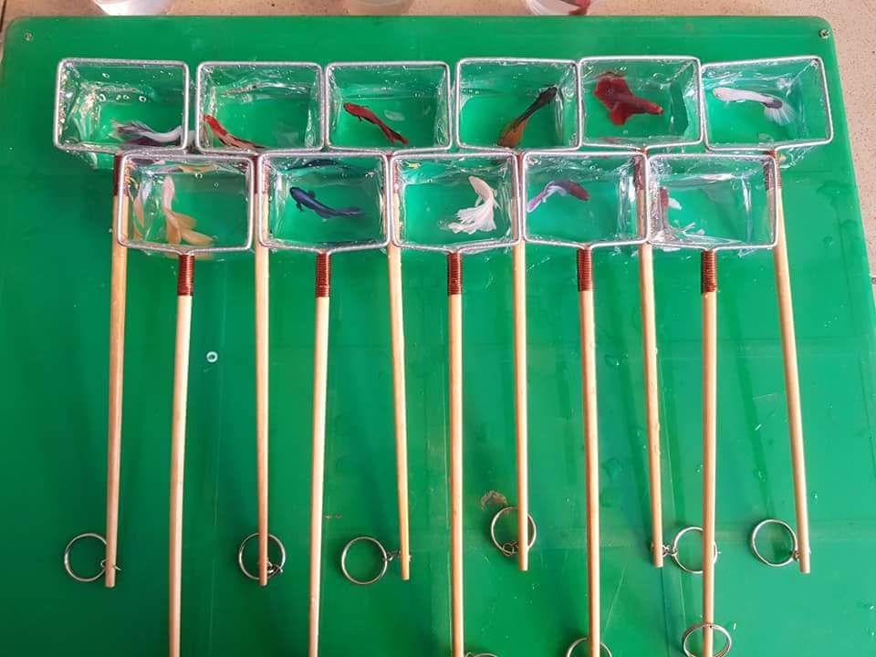 Vợt Nước vớt cá Betta - Guppy - Show cá