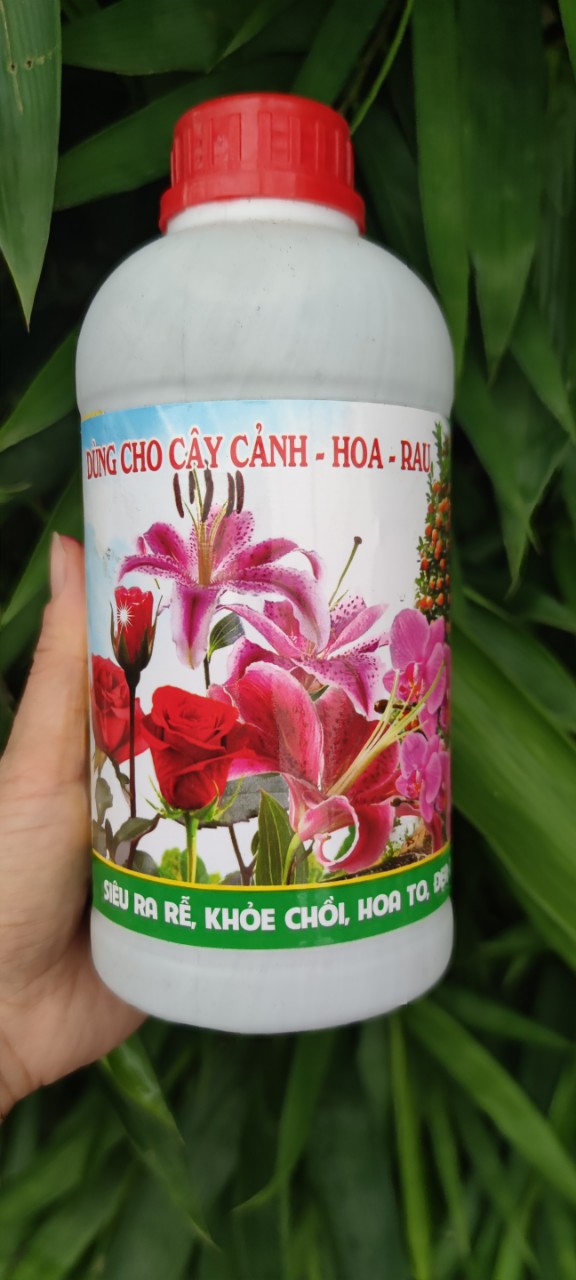 DINH DƯỠNG TRỒNG GIÁ THỂ- THỦY CANH CHO HOA, RAU Màu 1 Lít