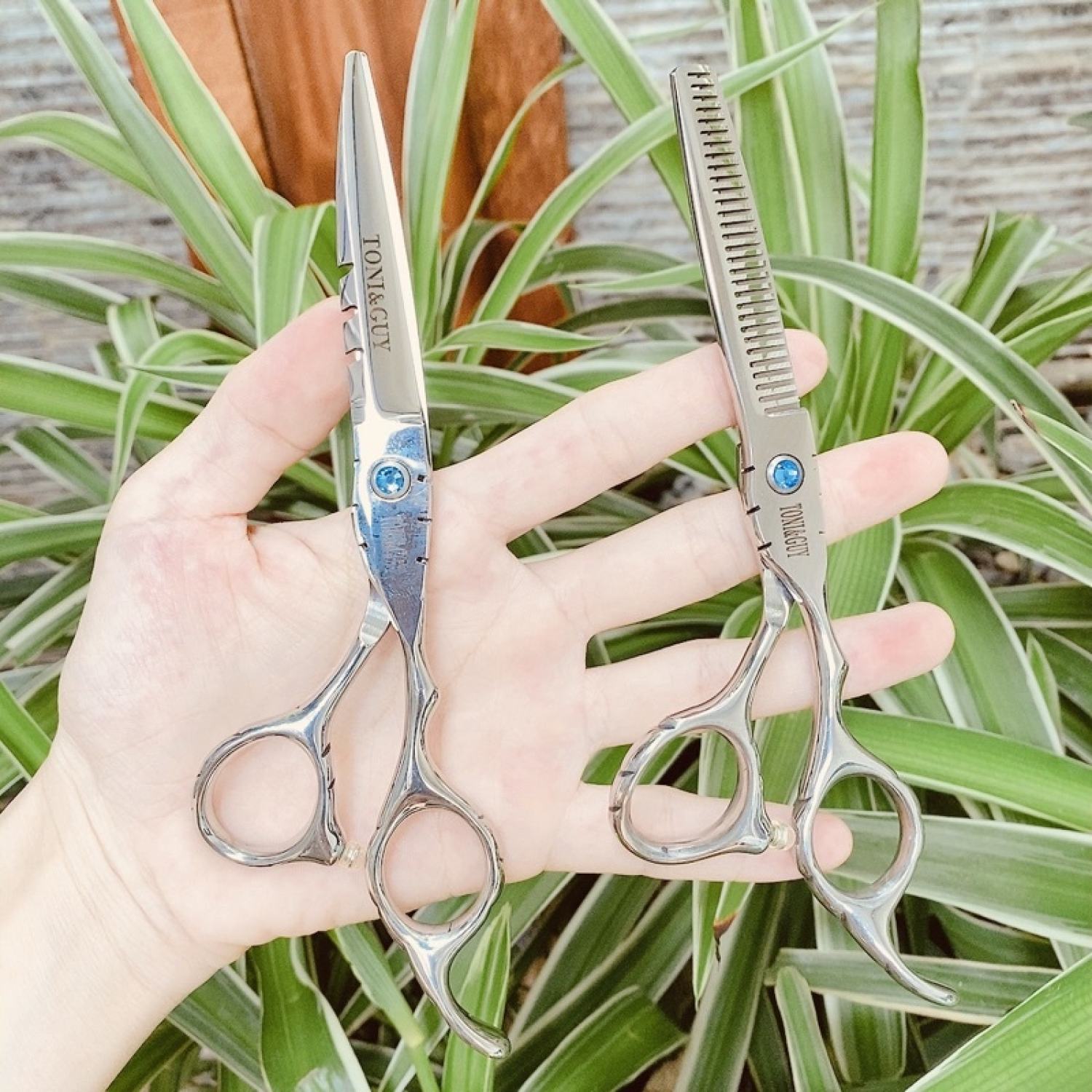 Bộ kéo cắt tóc Nhật Bản cao cấp Tony&guy 6.0 inch