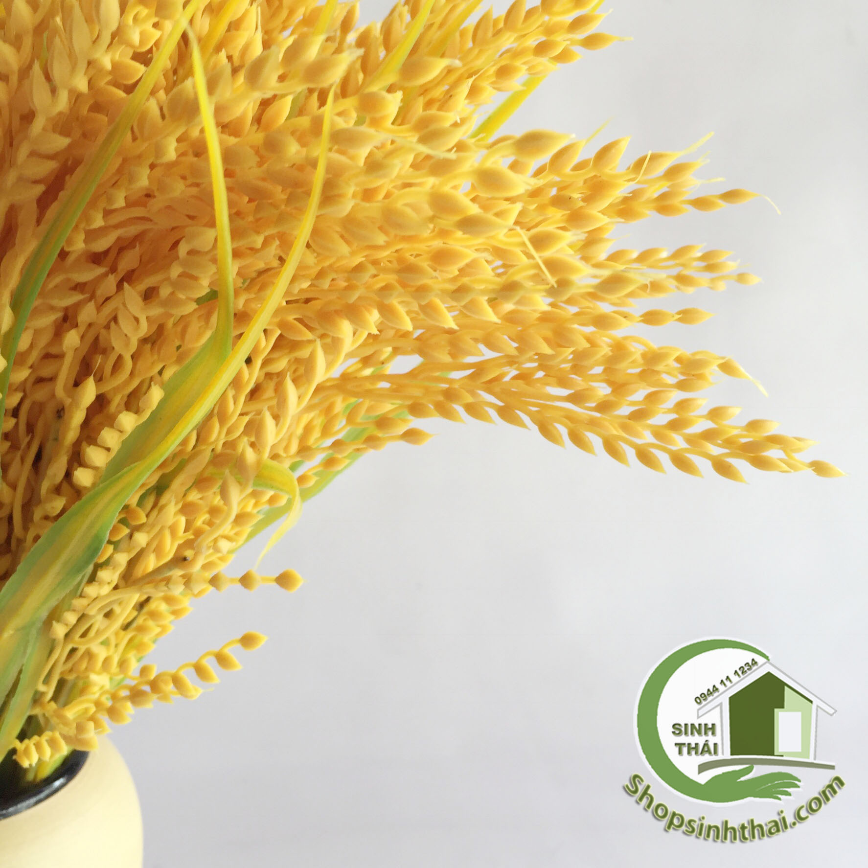 [HCM]Bụi Cây Bông Lúa Vàng Cao 50cm - Bụi Cỏ Lúa Vàng [ 1 bụi ]
