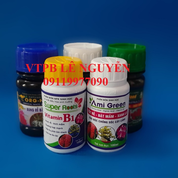 Combo kích rễ, bật mầm cho lan