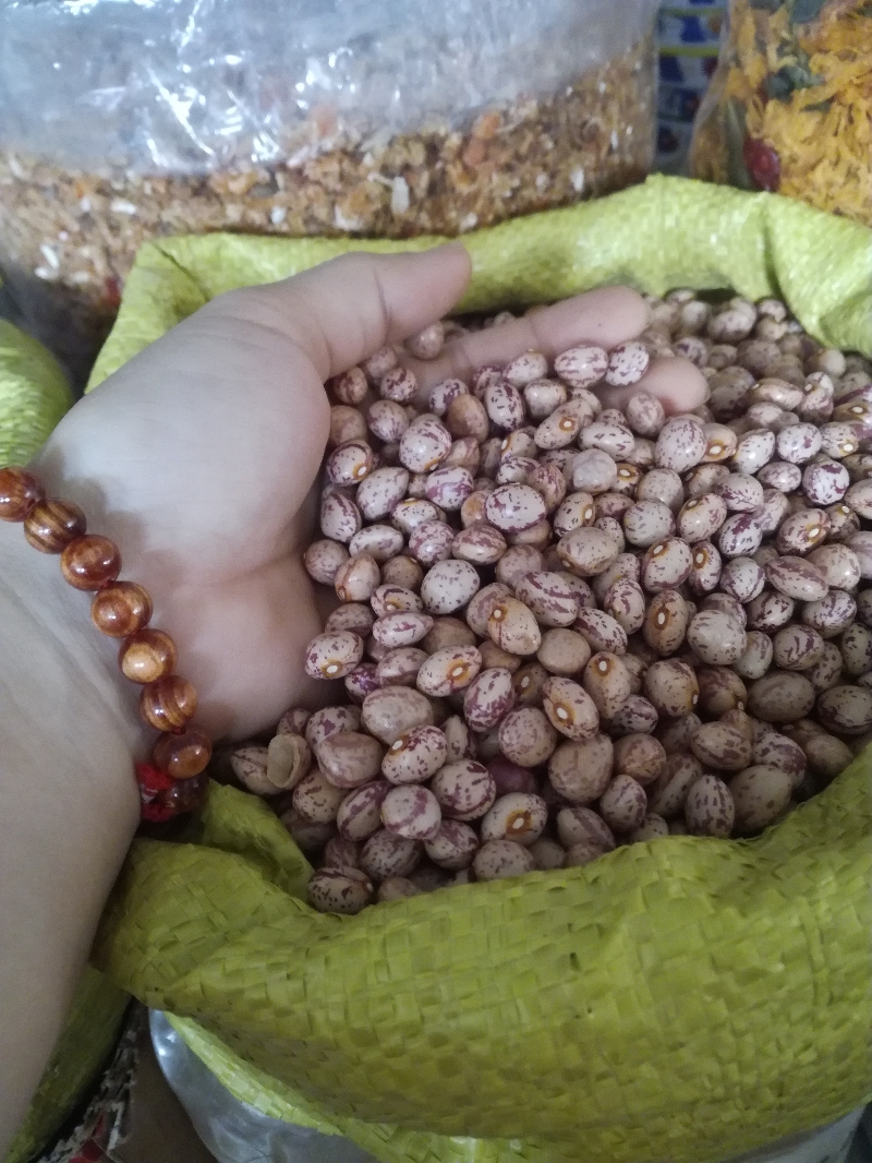 COMBO 2kg ĐẬU CÚC ĐÀ LẠT