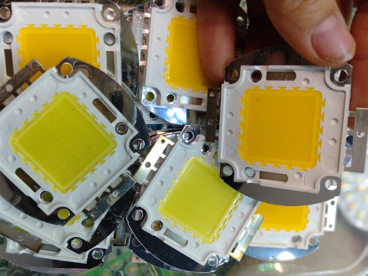 Nhân led 12v 50w