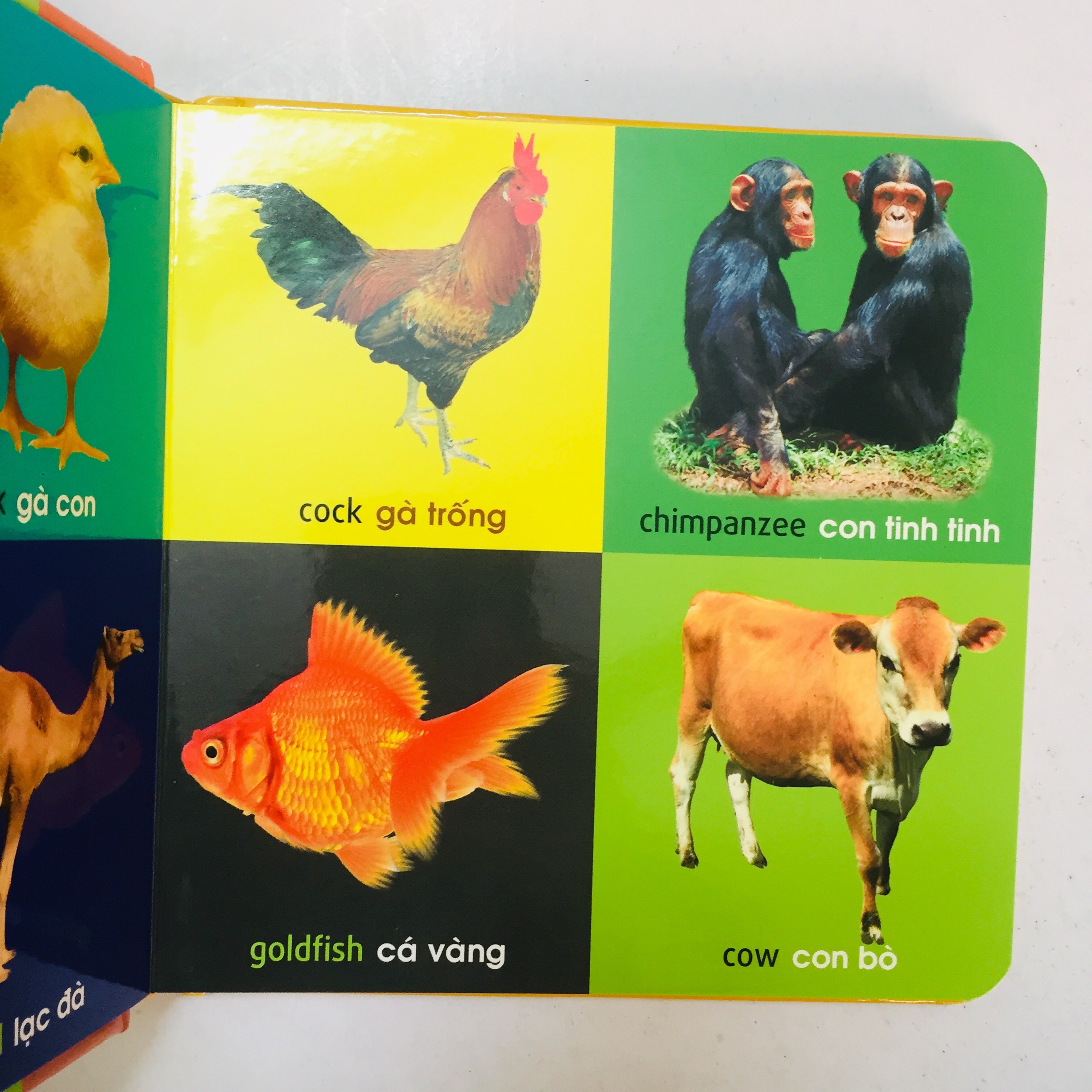 Sách – 101 First Words - 101 Từ Đầu Tiên – Động Vật