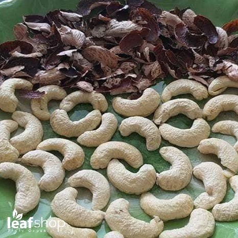 Hạt điều rang muối 3H 280g/450g - Leaf Organic HCM