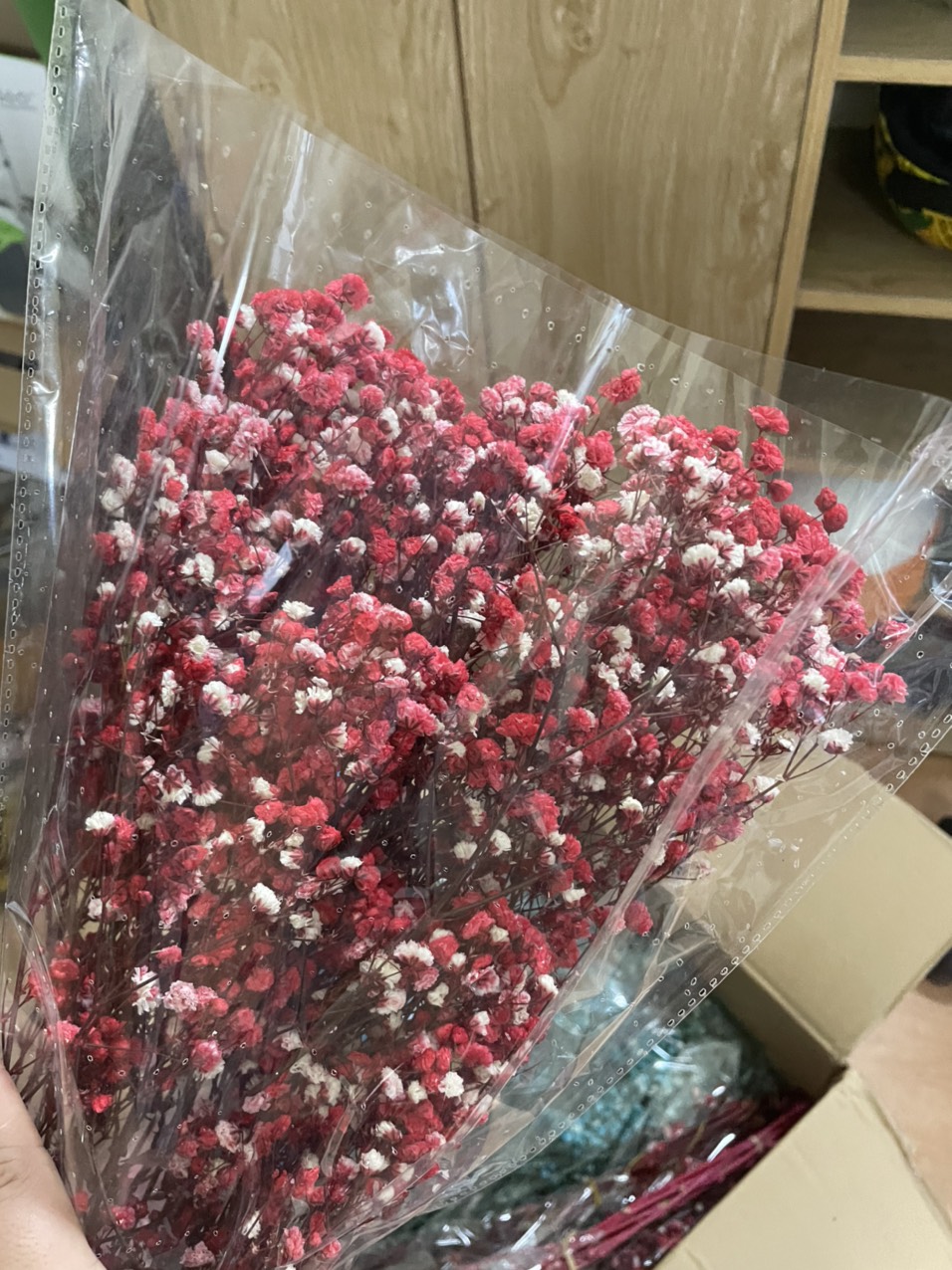 [HCM]HOA BABY KHÔ Bó 100g