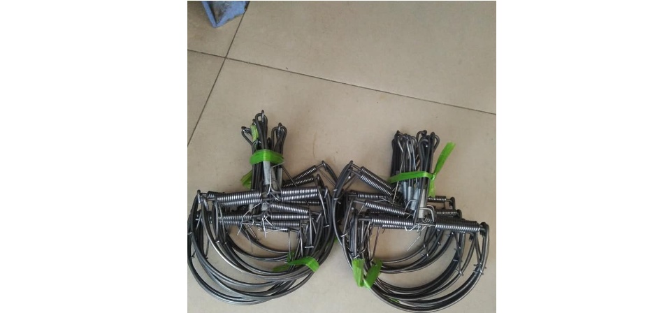 Combo 10 Bẩy chuột , sóc bán nguyệt 13 cm