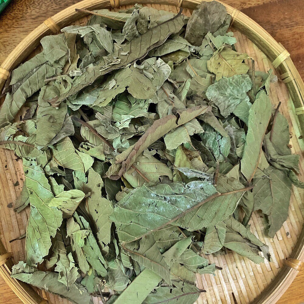 [HCM]1 kg - LÁ ỔI RỪNG KHÔ