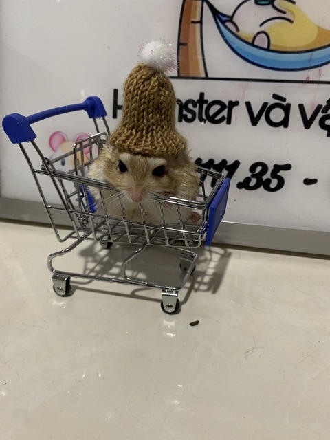 Nón cho hamster - Có dây buộc