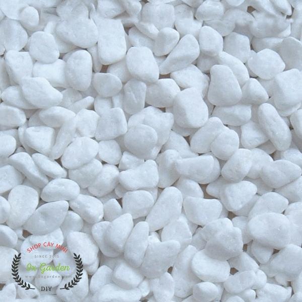 [HCM]2 kg Sỏi trắng trang trí - Size nhỏ hạt bắp tấm KT: 0.3cm 0.5cm (trồng sen đá, xương rồng mini)